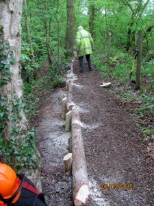 Repairs to North Path East - 6-5-2015