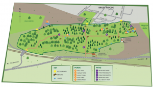 Friends of Brandon Woods Map
